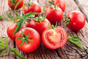 Manfaat Tomat Untuk Burung Trucukan