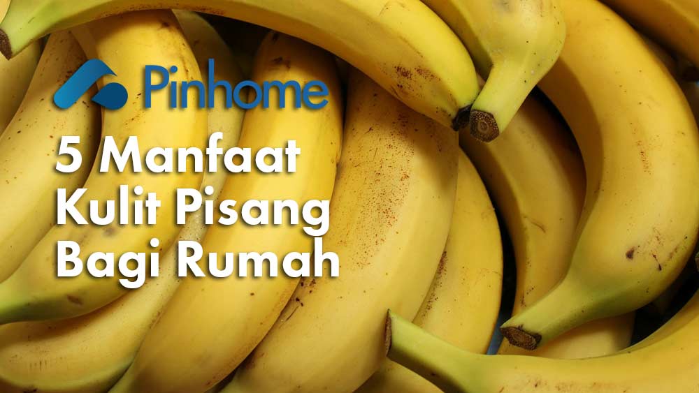 Manfaat klit pisang bagi rumah