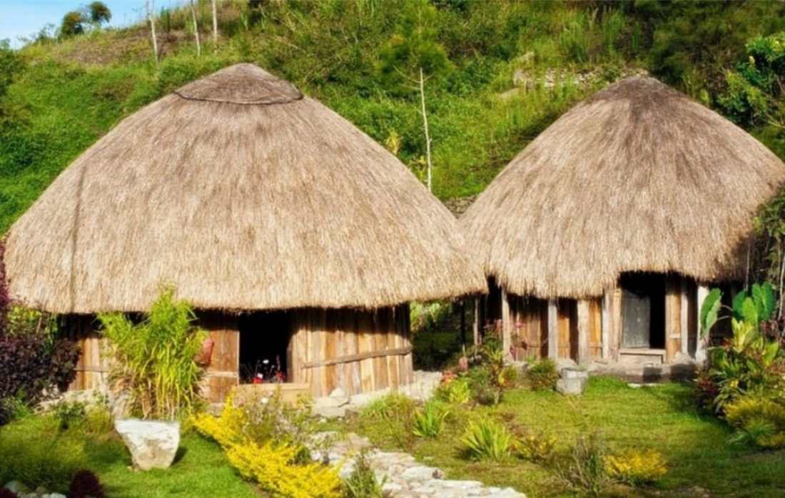 rumah adat Papua