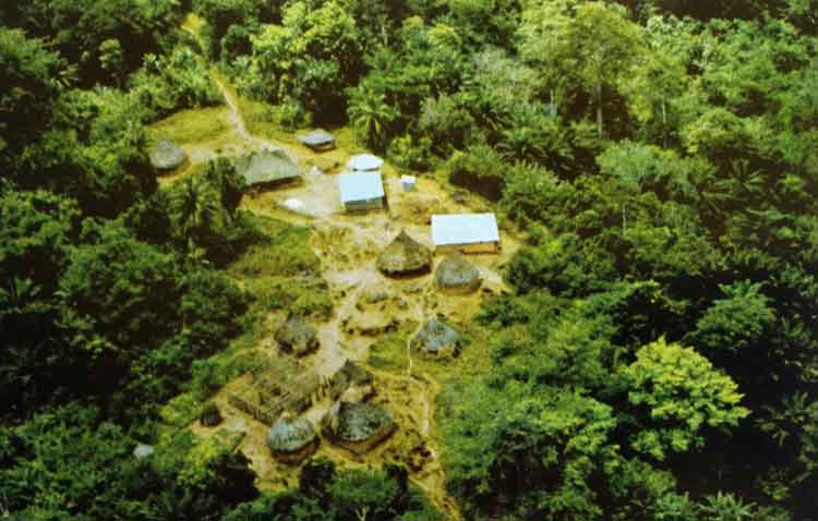 Desa di hutan basah Liberia