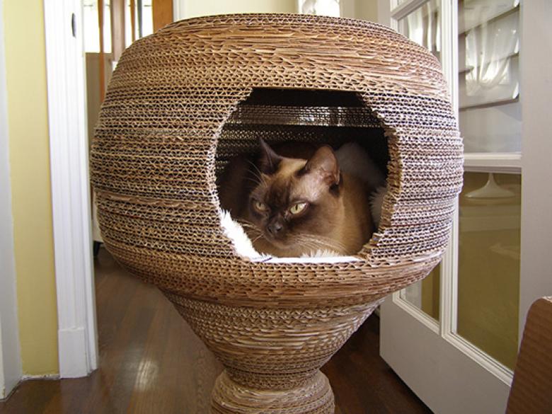 cara membuat rumah kucing dari kardus yang mudah