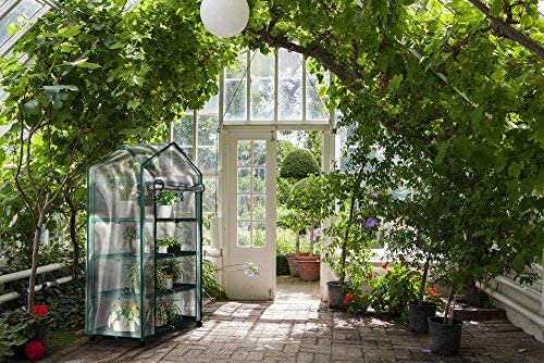 desain greenhouse hidroponik sederhana
