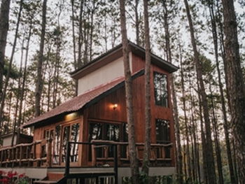 Desain rumah kayu mungil dengan konsep minimalis. 