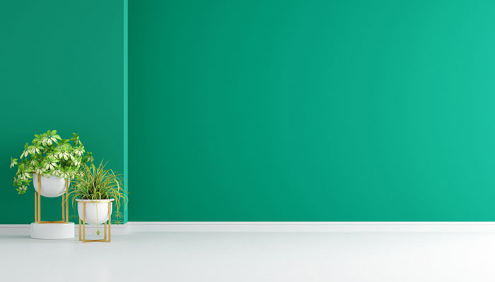 imageUrl-10 Dekorasi Rumah yang Cocok dengan Warna Hijau Mint yang Sedang Trendi