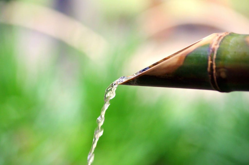 Manfaat air bambu untuk kesehatan. 