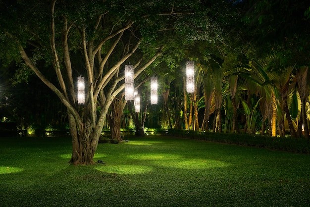 Taman rumah mewah dengan cahaya unik. 