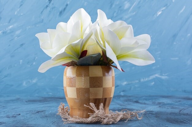 Hosta sebagai dekorasi bunga hias plastik.