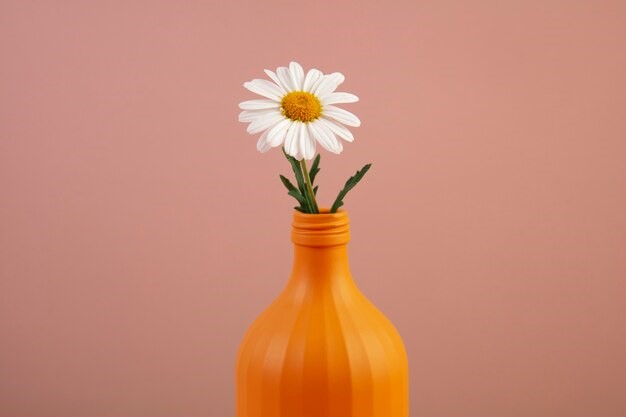 Daisy sebagai dekorasi bunga hias plastik. 