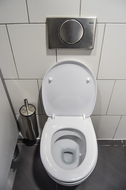 Cara Menggunakan Toilet Duduk
