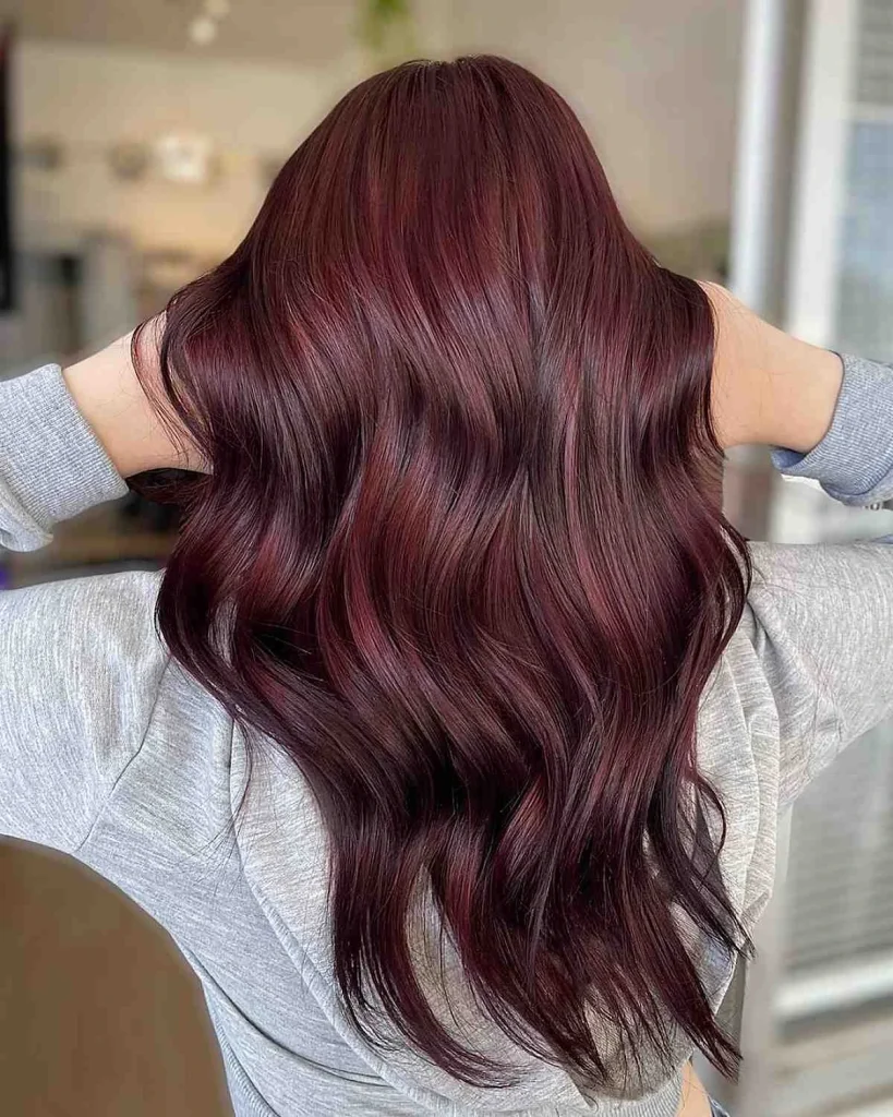 Deep Red Wine hair