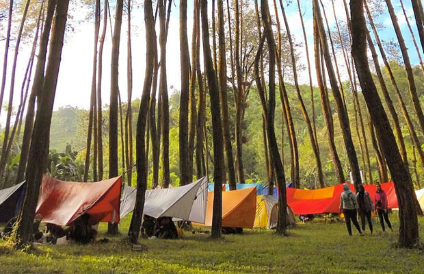 Tempat Camping di Malang Bumi Perkemahan Ledok Ombo