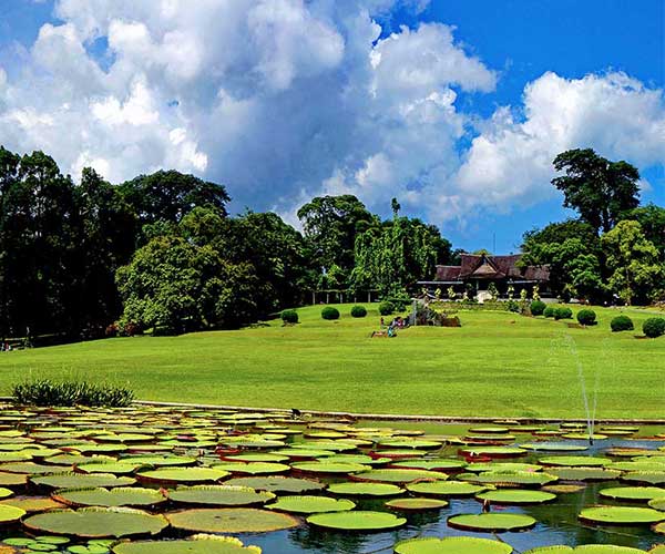 tempat wisata murah di bogor Kebun Raya Bogor