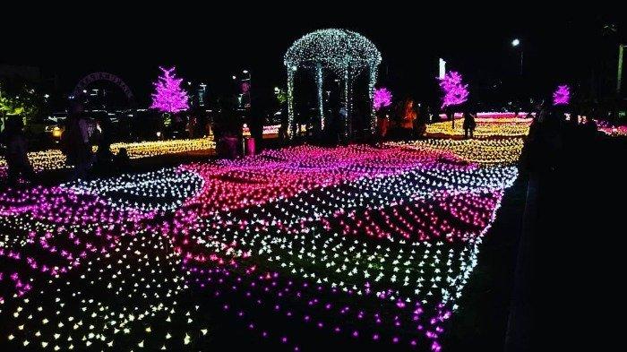 Sakura Garden Illumination