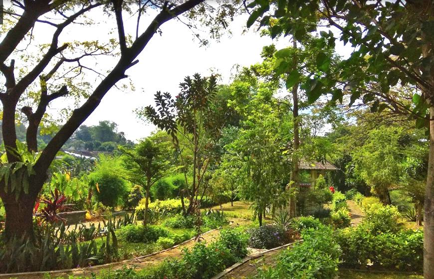 Taman di Solo Sekartaji Park