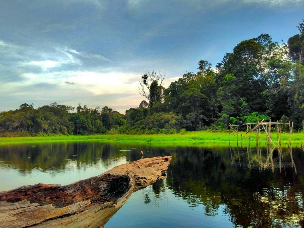 Arboretum Universitas Riau 