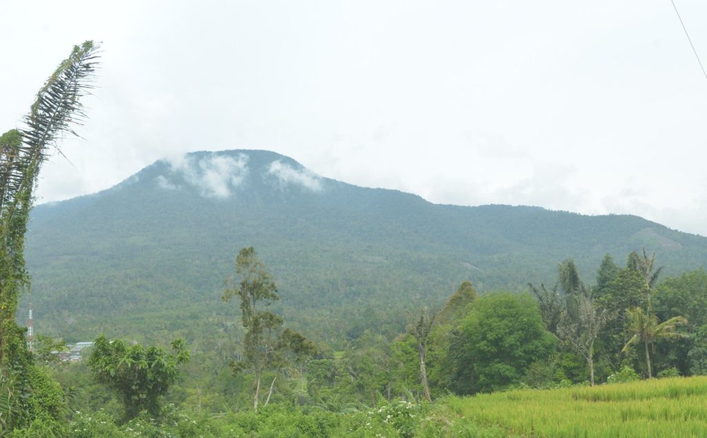 Gunung di Medan