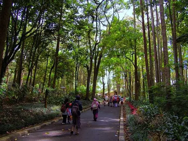 Taman Hutan Raya Ir. Juanda