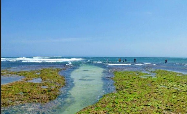 Pantai Karang Papak