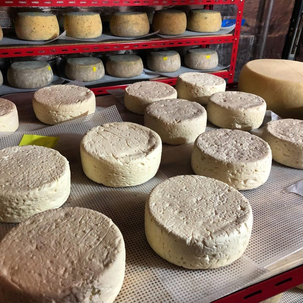 Tomme Andaliman Cheese