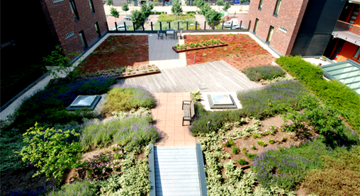  Semi-intensive green roof